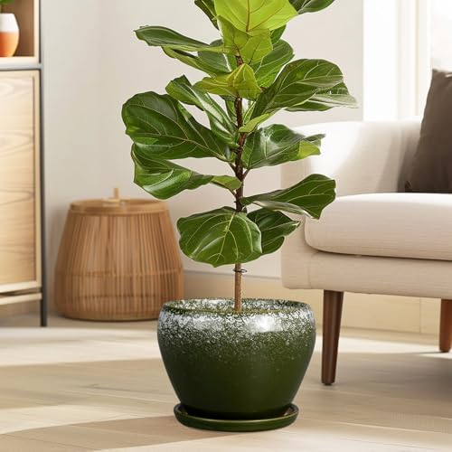Ceramicfor 8 Inch Plant Pot - Ceramic Planter with Drainage, Dark Green - Image 5