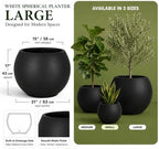17" H x 21" Dia Modern Large Round Black Fiberstone Planter Pot with Drainage Hole, Lightweight UV-Resistant Planter for Olive Trees, Fiddle Leaf Fig & Tall Plants, Indoor Outdoor Entryway, Patio - Image 3