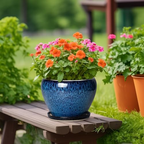 10 Inch Plant Pot, Ceramic Planter with Drainage and Saucer, Blue - Image 3