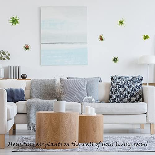 10 Pack Wall Mount Air Plant Holder (Adhesive tape,Stainless Steel Tillandsia Air Plant Planter)A Unique Set of Air Plant Containers for Creating Tillandsias Art Display On Wall (Medium) - Image 3