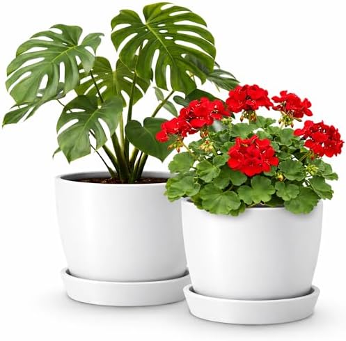 Kin 'n' Kind Set of 2 Minimalist Plant Pots (6.5" & 5.5") – Modern Indoor Planters with Drainage & Saucers & Plugs – Durable Eco-Conscious Composite, Indoor/Outdoor - Ventura Mist White by KinnKind