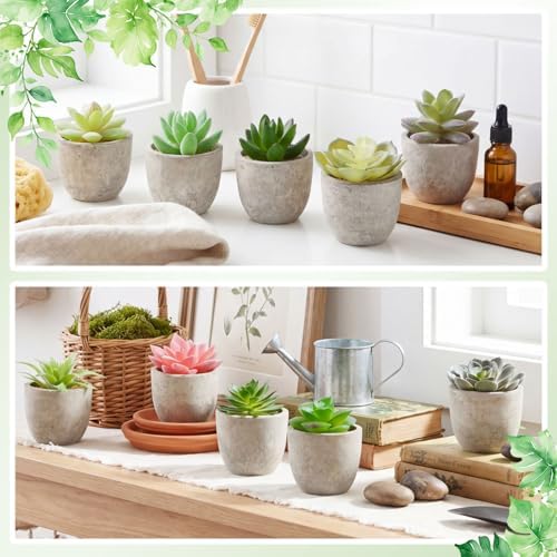 24 Pack Assorted Artificial Succulents in Retro Pulp Pots Bulk Fake Succulent Plants with Vintage Stone-Like Paper Pulp Pots Variety Set for Home, Office & Desk Decor (Various Style) - Image 4