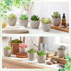 24 Pack Assorted Artificial Succulents in Retro Pulp Pots Bulk Fake Succulent Plants with Vintage Stone-Like Paper Pulp Pots Variety Set for Home, Office & Desk Decor (Various Style) - Image 4