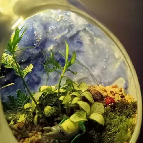 PATIKIL Round Globe Terrarium Air Plant Planter, 6.3 Inch Clear - Image 4