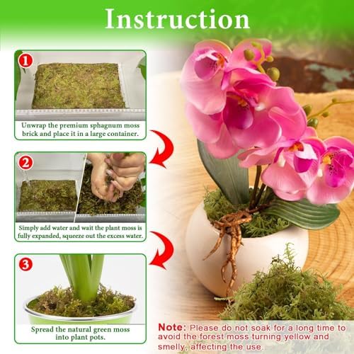 Halatool 3.3 LB Natural Green Forest Moss, Long Fiber Dried Sphagnum Moss - Image 4