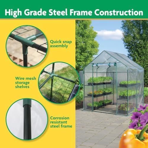 Miracle-Gro Walk-in Greenhouse, Removable Shelves, Clear, 4'8" Square - Image 4