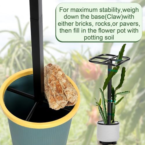 MorningRo 2 Pack 12 x 48 Inch Dragon Fruit Trellis Adjustable Garden Metal Plant Climbing Support with Wide Stretch Ties for Outdoor Vertical Gardens Vining Plants - Image 5
