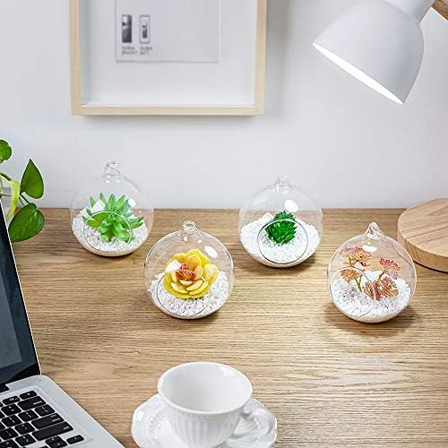 NUPTIO Hanging Glass Terrarium Globes, 12 Pcs, 4 Inch - Image 7