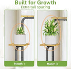 iDavosic.ly Plant Stand Indoor, Corner Tall Shelf, Wooden Tray, Black Brown - Image 4