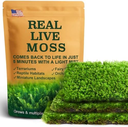 Live Moss – Racomitrium Moss (3 Sheets, Each Approx. 3.5"x7") for Terrariums, Moss Balls, Vertical Decor & Natural Plant Layouts – Naturally Grown, Reusable, Not Artificial by LUCKYRUNES