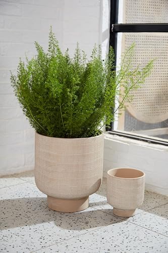 Olly & Rose Barcelona Raised Ceramic Plant Pot 22.5 x 24.5cm Patterned Light Beige Large Plant Pots Outdoor and Indoor - Beige Planters - Flower Pots - Image 6