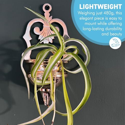 Thorness Brass Wall Pocket Sconce Planter, Wall Planter in gold finish for indoors or outdoors, perfect for displaying plants, and enhancing home decor - Image 5