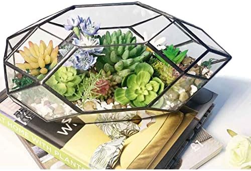 Ferrisland Handmade Glass Home Geometric Glass Succulent Flowerpot - Image 5