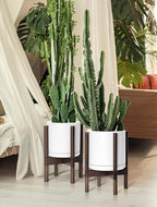 D'vine Dev Ceramic Pot with Walnut Wood Stand, White, 8 in, 55-B-Y-1 - Image 2
