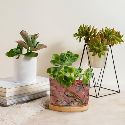Blush Chinoiserie Bird Planter Ceramic Hydrangea Peacock in Coral Round Flower Pot with Drainage Holes and Bamboo Tray Pot for Home Office Decoration - Image 4