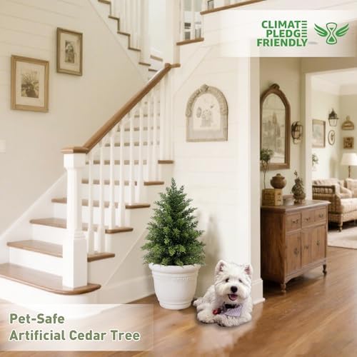 Mavis's Diary 2ft Artificial Cedar Topiary Tree, Set of 1 Realistic Faux Evergreen Shrub Plant in Planter, Indoor Outdoor Fake Cedar Tree for Front Porch, Entryway, Office & Home Decor - Image 4