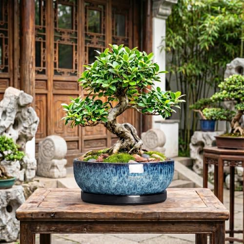 Bonsai Pots, 13 Inch Ceramic Succulent Pot with Saucer, Blue - Image 7