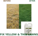 Liquid Lawn Fertilizer for Yellow & Heat-Stressed Grass – 5-3-4 Living Soil Lawn Food with Humic & Kelp – Lawn Recovery & Root Growth Fertilizer – Nature’s Way Soil – 1 Gallon - Image 4