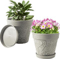 Melphoe Plant Pots Indoor with Drainage & Saucer, 2Pack 10 inch Flower Pots Outdoor Planters for Indoor Plants Garden Home Decor Cactus Succulent, Rigid Plastic (Imitation-Terracotta) Vine-Embossed by Melphoe