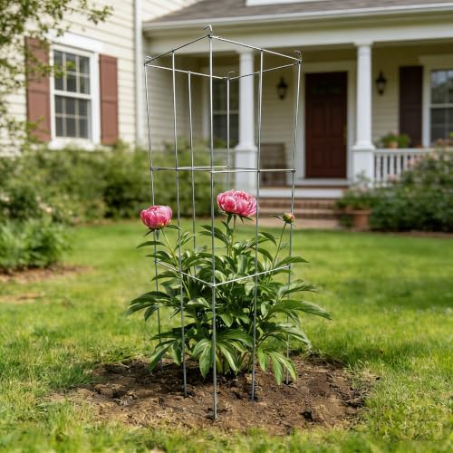 4 Pack 12x39 Inch Galvanized Folding Square Tomato Cages - Image 6