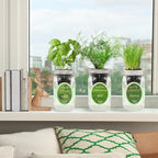 Hydroponic Herb Growing Kit Set, Self-Watering Mason Jar Herb Garden Starter Kit Indoor, Windowsill Herbs Garden, Grow Your Own Herbs from Organic Seeds (Basil, Dill, Chives) - Image 4