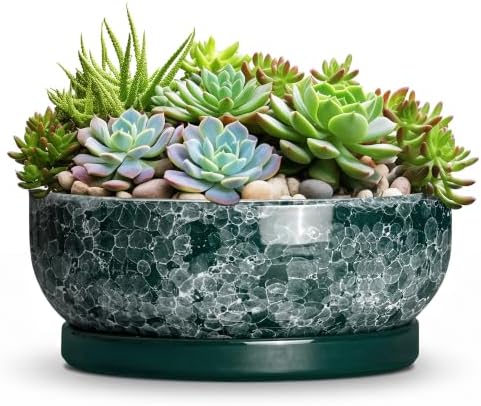 Succulent Pots Ceramic, 10 Inch Bonsai Planter, Droplet Green by Unknown