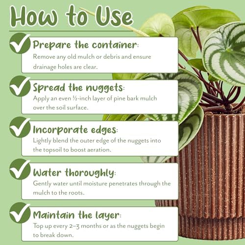 Soil Sunrise 100% Natural Pine Bark Mulch Nuggets (12 Quarts) Small Chips for Indoor/Outdoor Container Gardening, Ideal for Soil Supplement, Houseplant Topper, and Terrariums - Image 7
