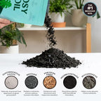 Rosy Soil Houseplant Potting Soil, 8 Quarts, Pack of 2 - Image 4