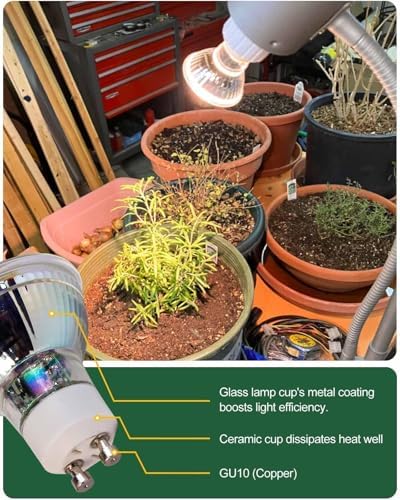 GU10 Grow Light Bulb for Indoor Plants, 5W, Cream White, 3-Pack - Image 5