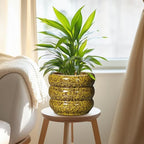 SQOWL Ceramic Planter - 8 Inch Indoor Plant Pot with Drainage Hole, Round Planter for Outdoor Plants, Ceramic Flower Pots, Bubble Planters, Home Room Porch Decor, Plant Lover Gifts, Yellow - Image 5