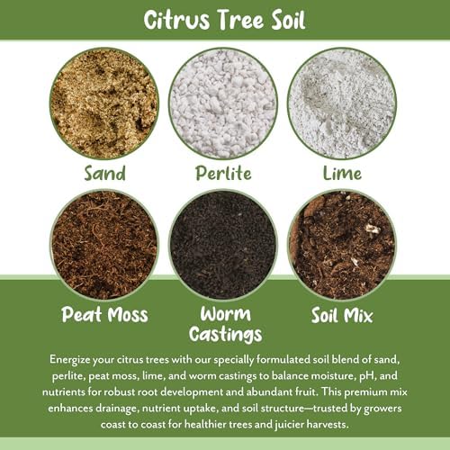 Soil Sunrise Citrus Tree Potting Soil Mix (30 Quarts) Special Blend for Indoor Oranges, Lemons, Limes and More - Image 5