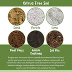 Soil Sunrise Citrus Tree Potting Soil Mix (30 Quarts) Special Blend for Indoor Oranges, Lemons, Limes and More - Image 5