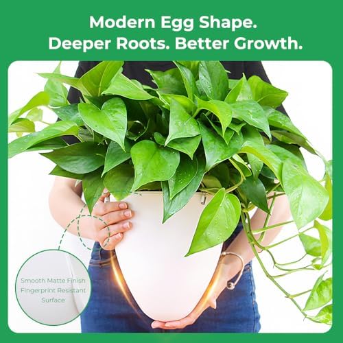 Self-Watering Hanging Planter Pot, Indoor Outdoor Plants, 6 Inch, 3 Pack - Image 7