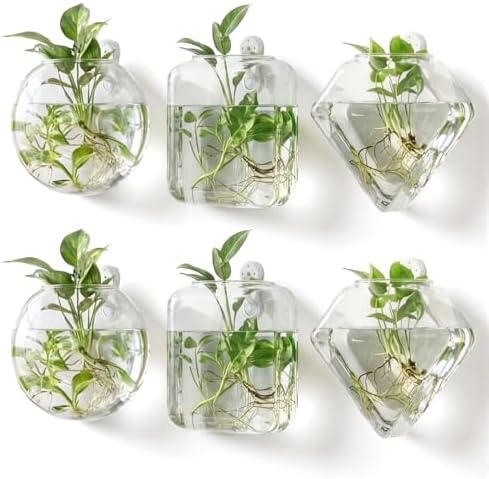 LemonRoad 6 Pcs Wall Hanging Glass Planters, Propagation Station Vases by Unknown