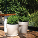 2 Pack Terracotta Plant Saucers 10 Inch, Granite Grey, Round, Clay Pot & Drainage Tray, Plant Tray for Indoor Pots, Plant Saucers, Dishes for Plants, Holding Water Drips & Soil, Drainage Tray - Image 2