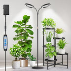 Aumtrly 2 Head Grow Light Full Spectrum, Black, with 68" Adjustable Stand by Aumtrly