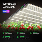 VIVOSUN LumaLight 750W LED Grow Light, Full Spectrum Indoor Plant Light - Image 2