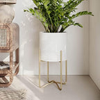 EverNest Claire Mid-Century Modern White Plant Pot with Ambrose Stand, SelectBase, Indoor Planter, Bohemian Style, Minimalist Plant Home Décor (Medium, Gold) - Image 5