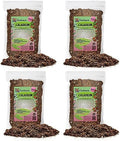 Gardenera Caladium Potting Mix - Unlock Robust Growth and Striking Leaf Color with Our High-Performance Formula - 20 Quart by Gardenera