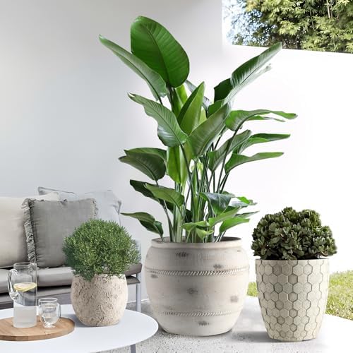 Round Concrete Style Planter Set of 3, Large Outdoor Flower Pots with Drainage, Stone Texture Plant Pots for Indoor Outdoor Garden, Patio & Balcony Décor (3, Stone White) by Unknown