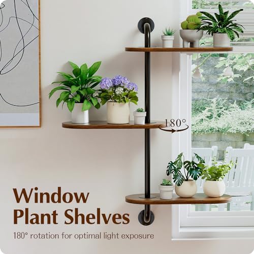 Rotating Window Plant Shelves 3-Tier, Wooden Window Shelf for Plants, Sill Space-Saving Corner Hanging Wall Stand for Multiple Plants, Indoor Home Decor, Carbonized - Image 3