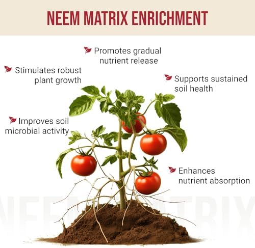 Eden Tomato Organic Enriched Fertilizer | Neem Plant Food 8-5-8 Enriched Formula | for Growing Healthy & Natural Tomatoes (5lbs) - Image 4