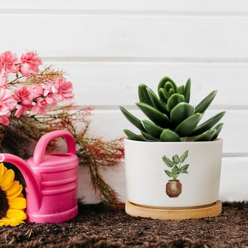 DreamAutumn Pack of 3 Planters Ceramic Plants Ceramic Pots with Drainage Holes Round Flowerpot Bamboo Tray Plant Pots for Succuelnt and Little Snake Plants - Image 5