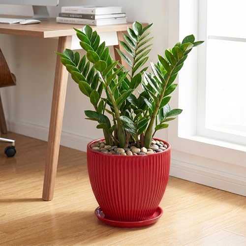 10 Inch Plant Pot, Ceramic Planters with Saucer, Red - Image 3