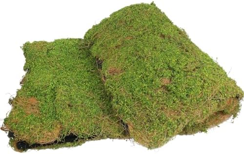 FAICOIA Artificial Moss for Decorating 39" x 39" Fake Moss for Crafts Faux Moss for Plants Indoor Green Faux Grass for Planters Crafts DIY Table Centerpieces Fairy Garden Floral Wedding 100 x 100cm by FAICOIA