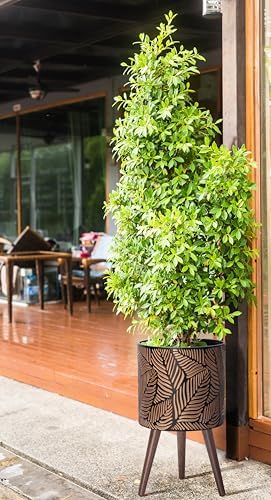 D'vine Dev 12 Inch Planter Pot with Wood Stand, Bronze/Grey, 88-L-C-6 - Image 5