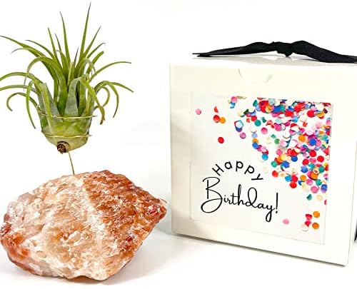 Red Calcite Crystal Air Plant Holder Made Includes Healthy Air Plant and Gift Box Meaningful Birthday Gift - Image 4
