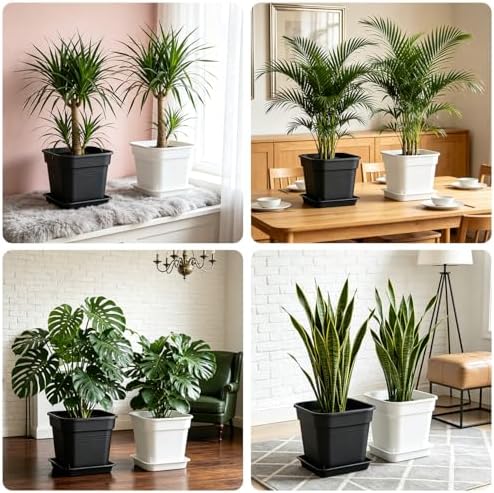 10 Inch Square Planters with Saucers 5 Pack,Heavy Duty Black Plant Pots - Image 4