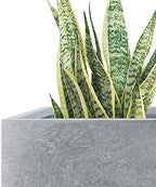 Kante 16",12",10" Square Concrete Planters Set of 3 for Outdoor Indoor Home Patio Garden, Large Plant Pot with Drainage Hole and Rubber Plug, Slate Gray - Image 3