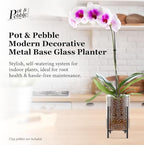 Pot & Pebble C8 Glass Orchid Pot, Metal Base - LECA Semi-Hydro Planter - Image 3